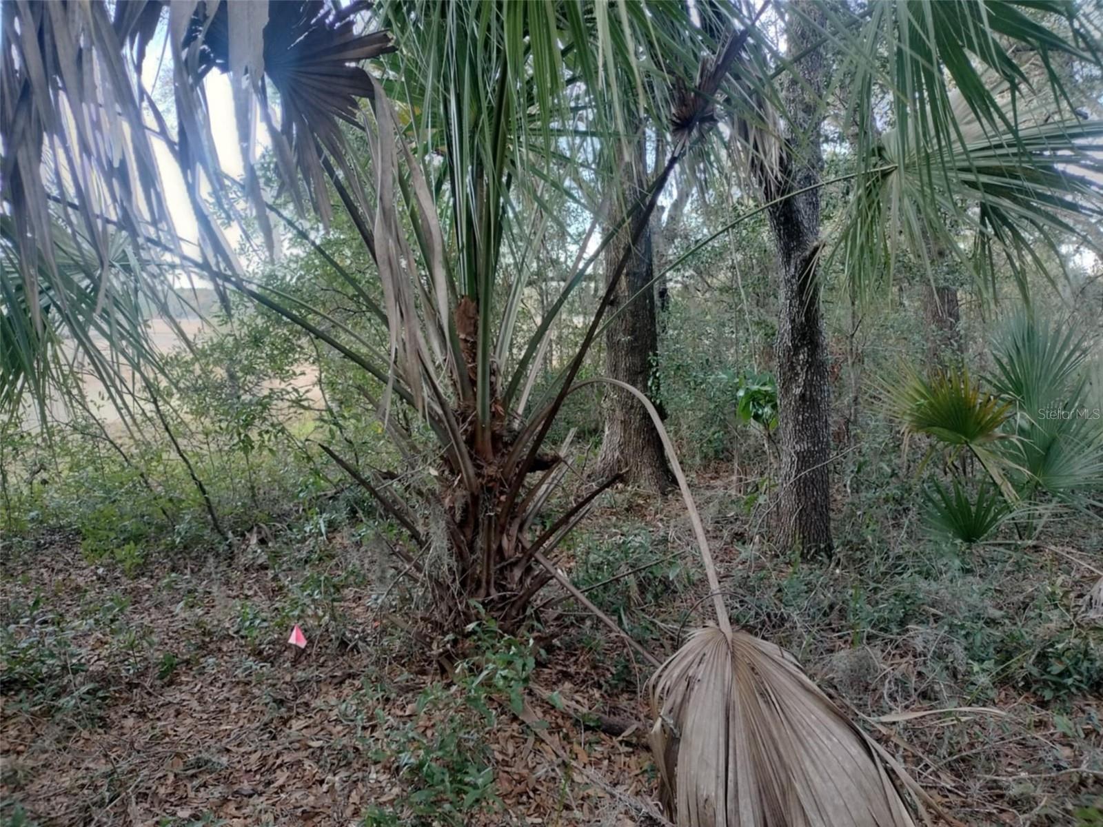 380 E DUSTY CT, HERNANDO, FL, 34442