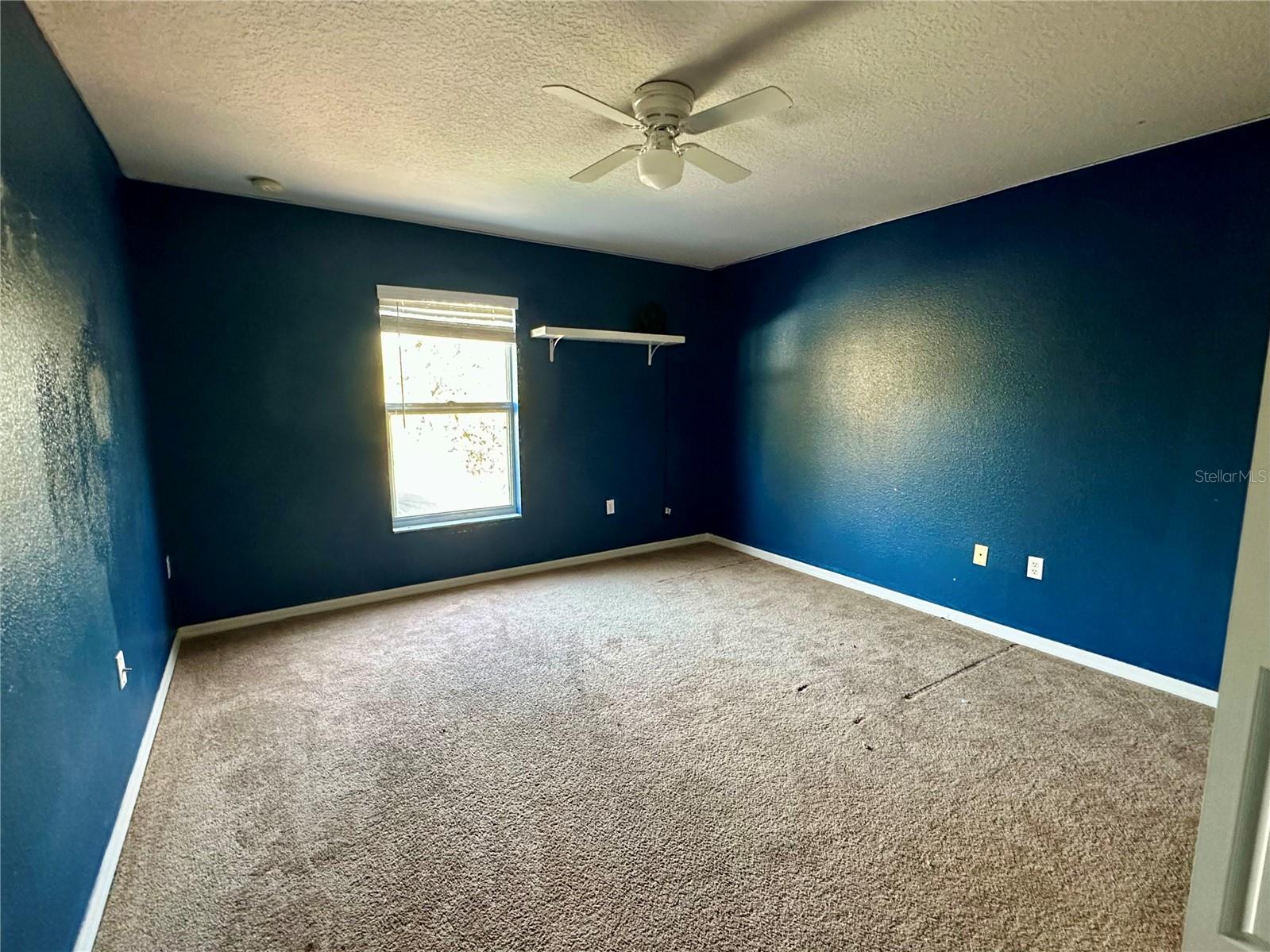 2143 TEALWOOD CIR, TAVARES, FL, 32778