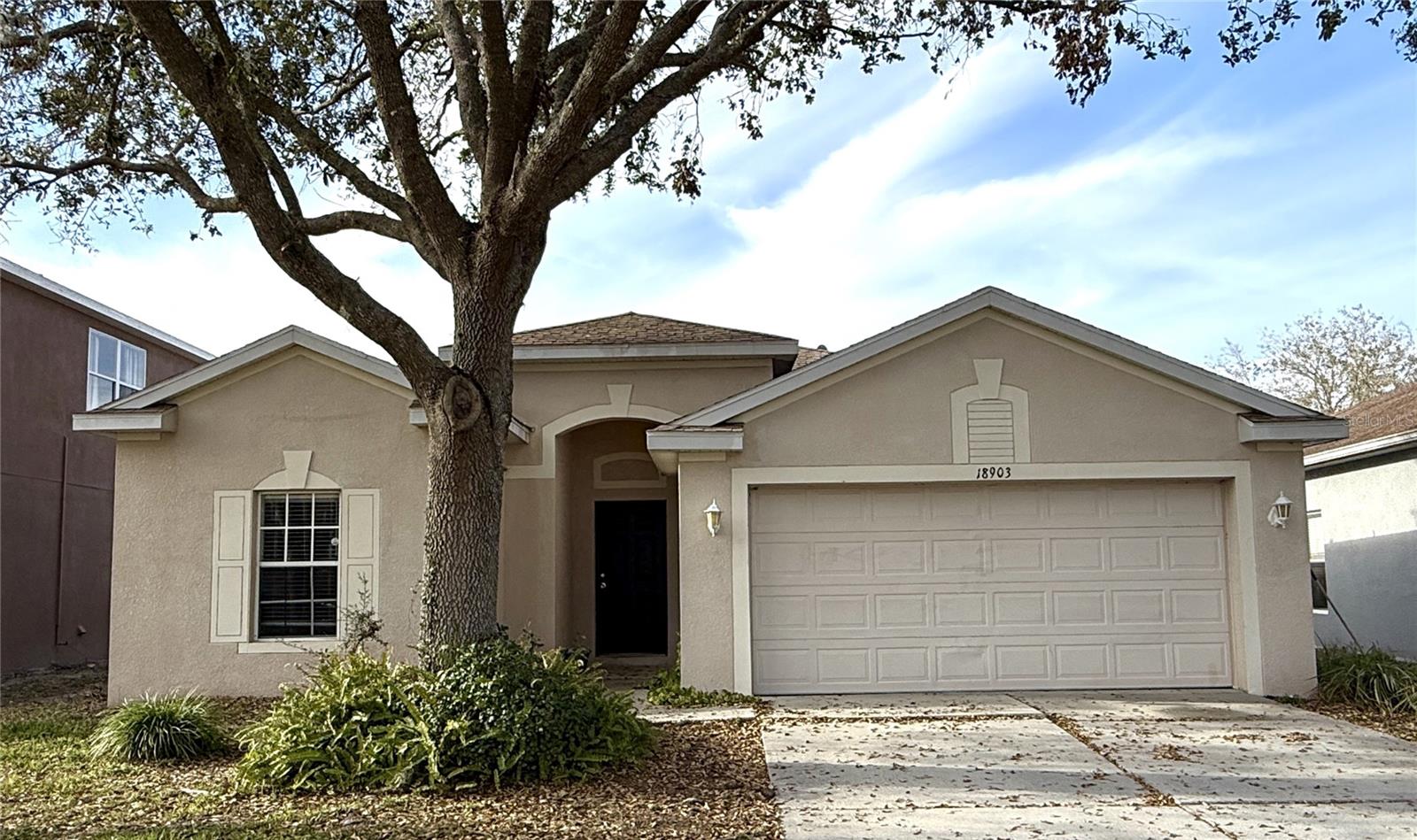 18903 QUARRY BADGER RD, LAND O LAKES, FL, 34638