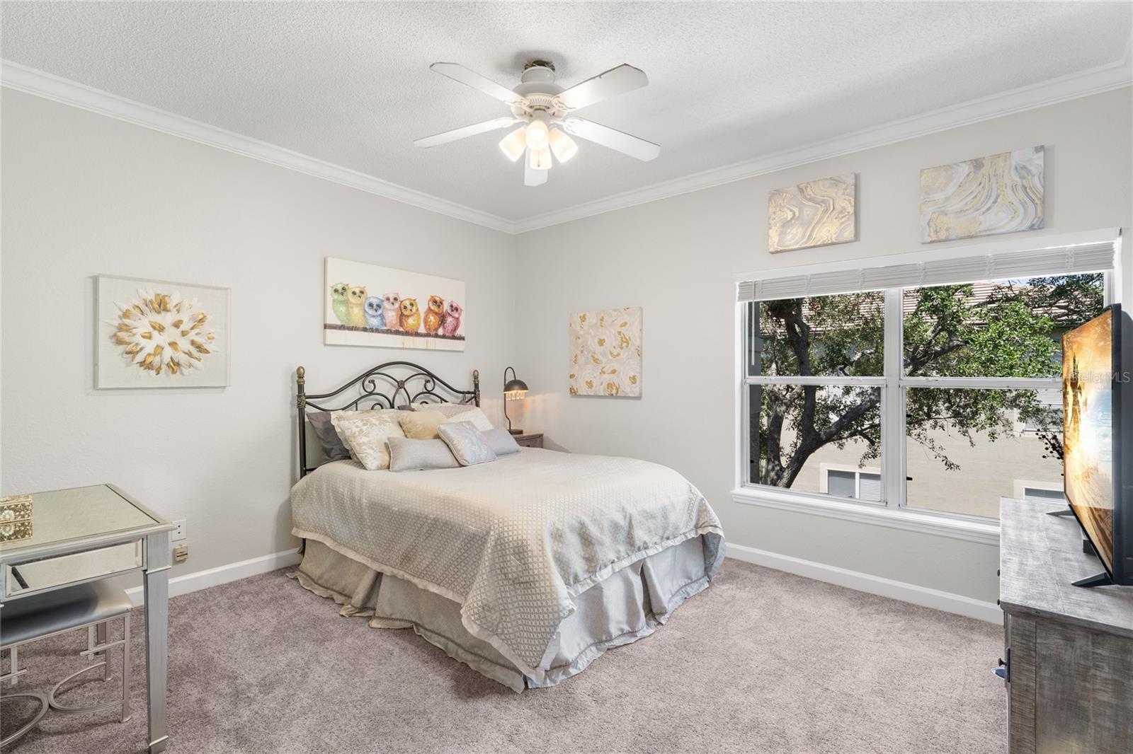 726 SEAGATE DR #726, TAMPA, FL, 33602