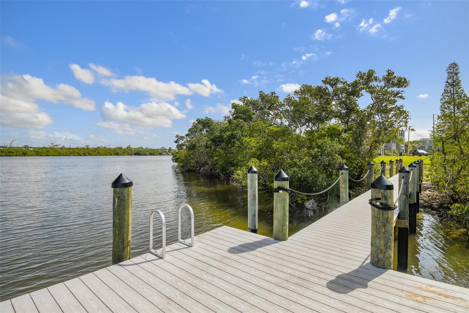 520 WHEATON TRENT PL, TAMPA, FL, 33619