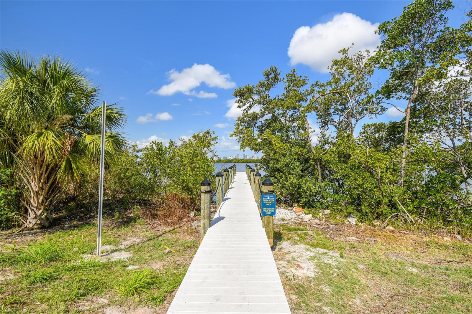 520 WHEATON TRENT PL, TAMPA, FL, 33619