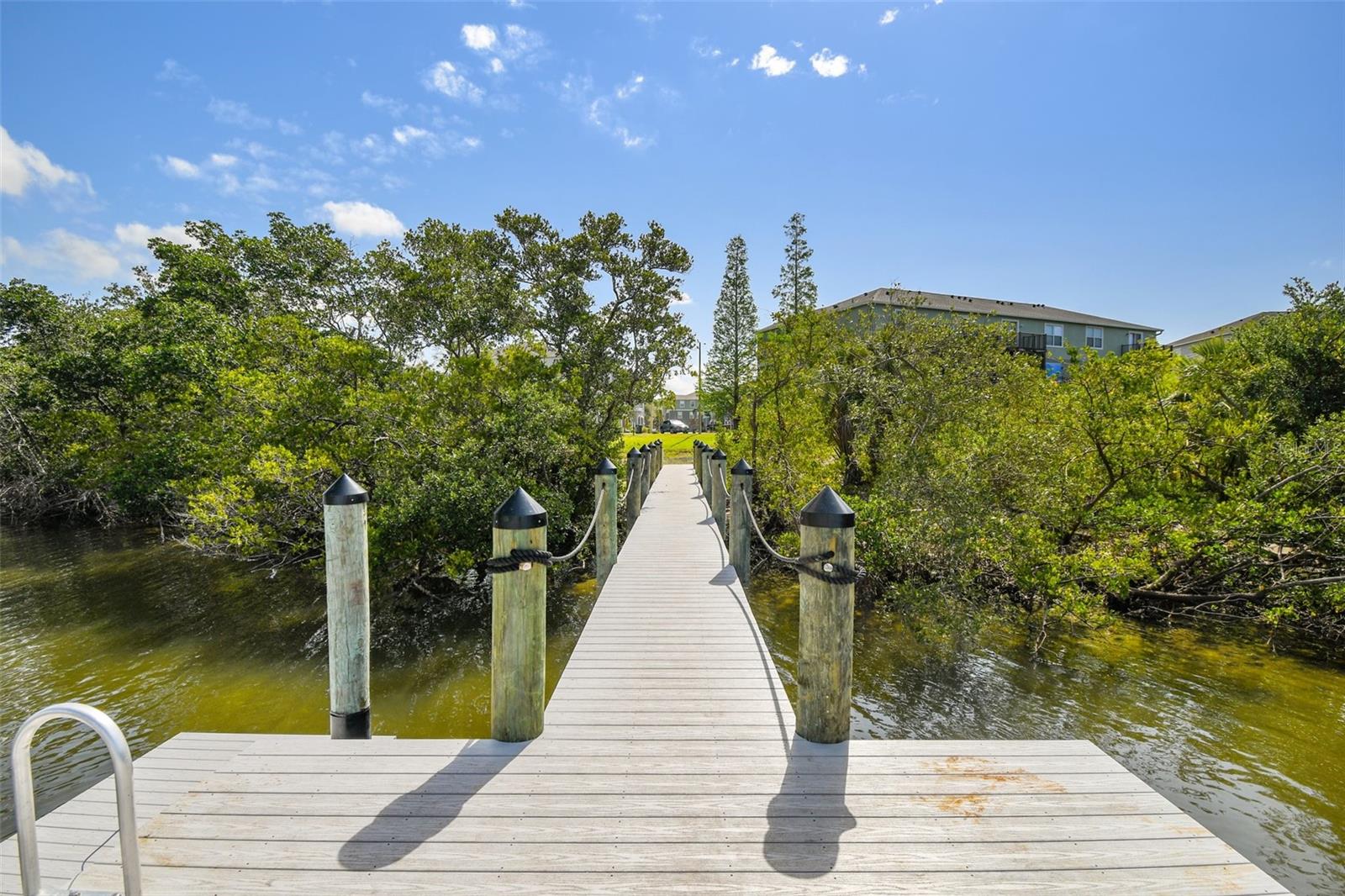 520 WHEATON TRENT PL, TAMPA, FL, 33619