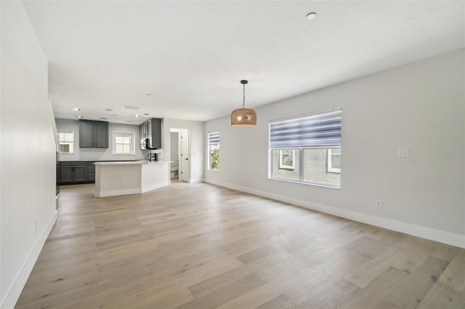 520 WHEATON TRENT PL, TAMPA, FL, 33619