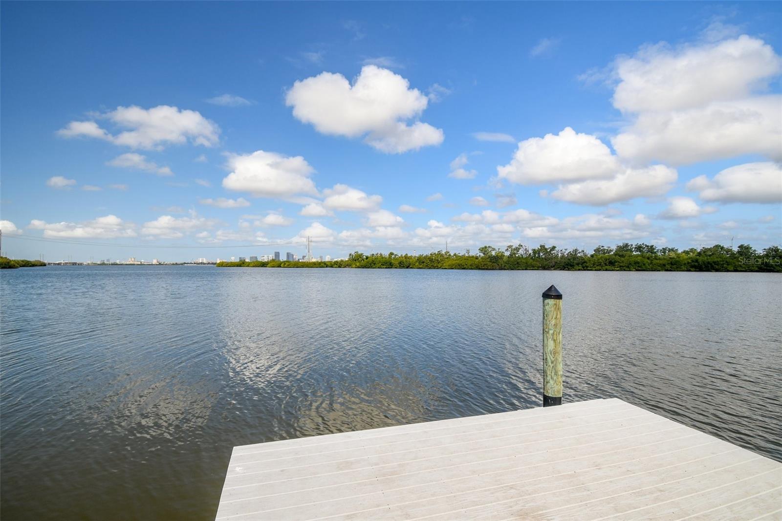 520 WHEATON TRENT PL, TAMPA, FL, 33619