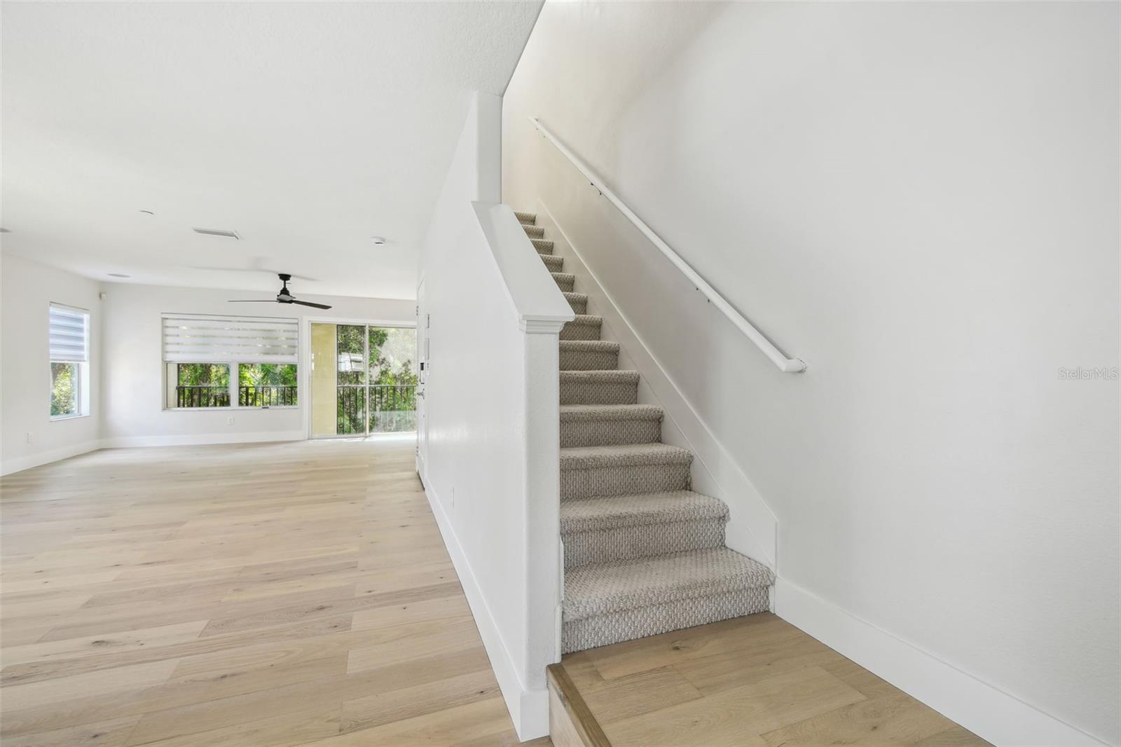 520 WHEATON TRENT PL, TAMPA, FL, 33619