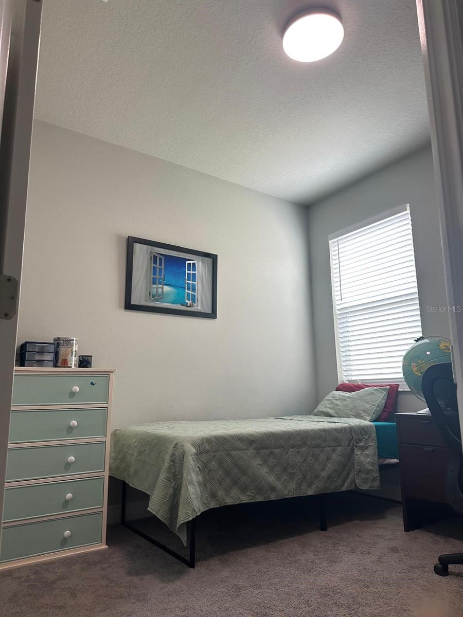 1556 N RIVER CIR, TARPON SPRINGS, FL, 34689