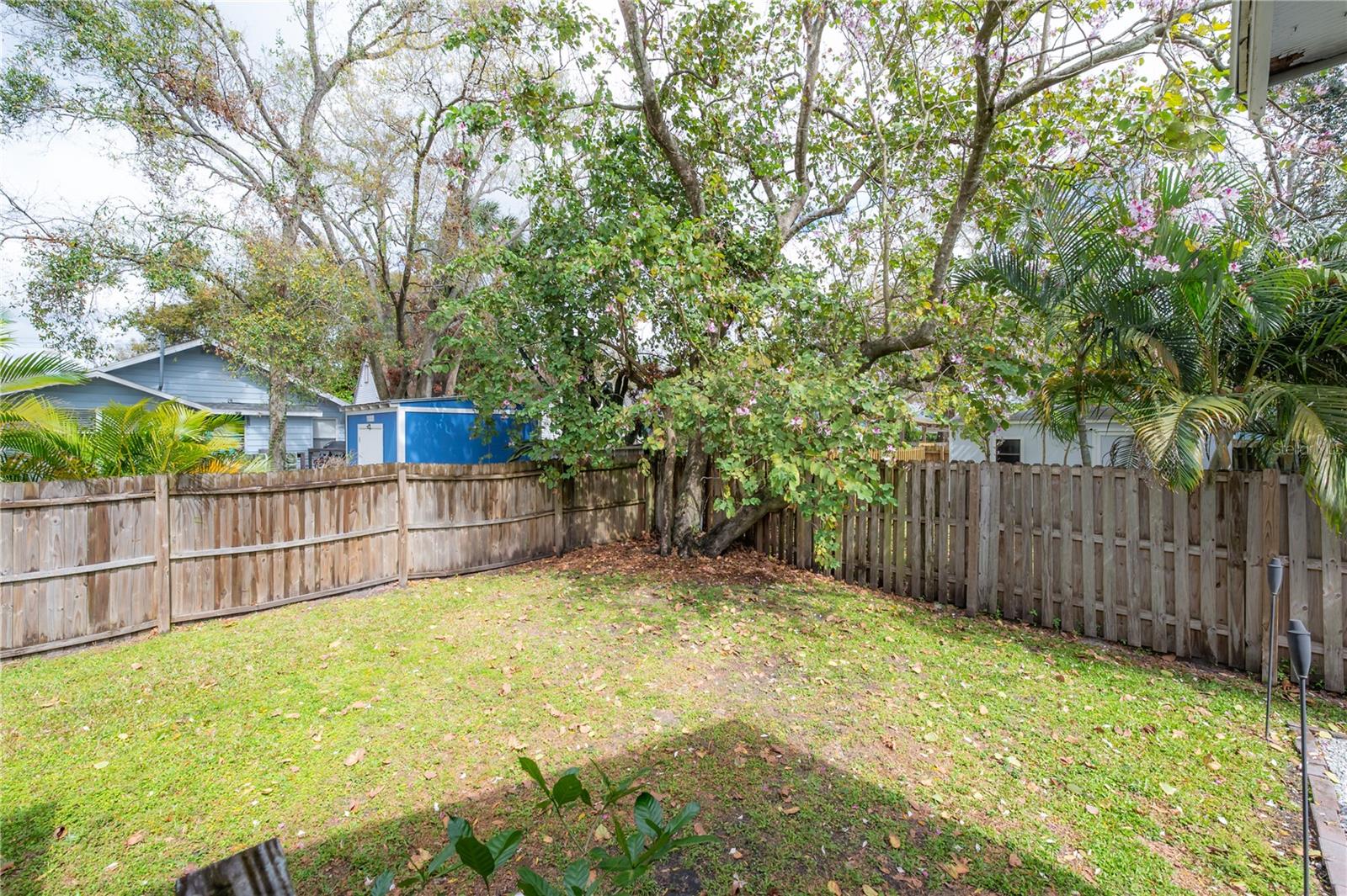 311 W CHELSEA ST, TAMPA, FL, 33603