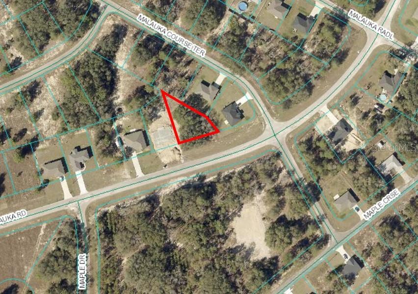 00 MALAUKA RD #40, OCKLAWAHA, FL, 32179