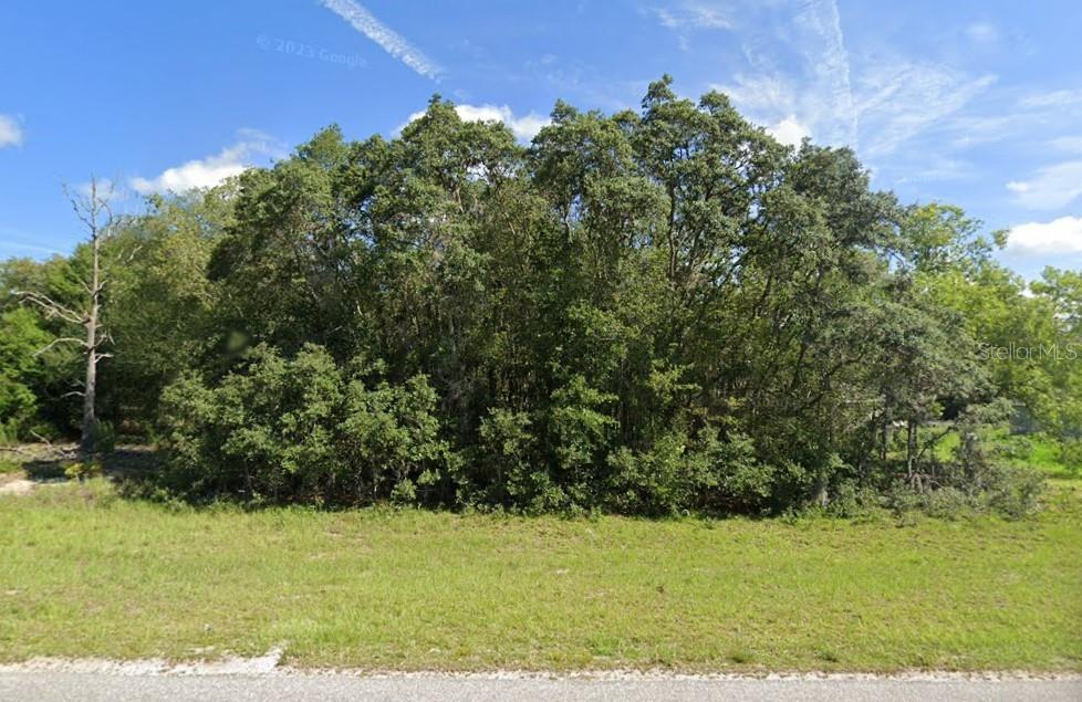 00 MALAUKA RD #40, OCKLAWAHA, FL, 32179
