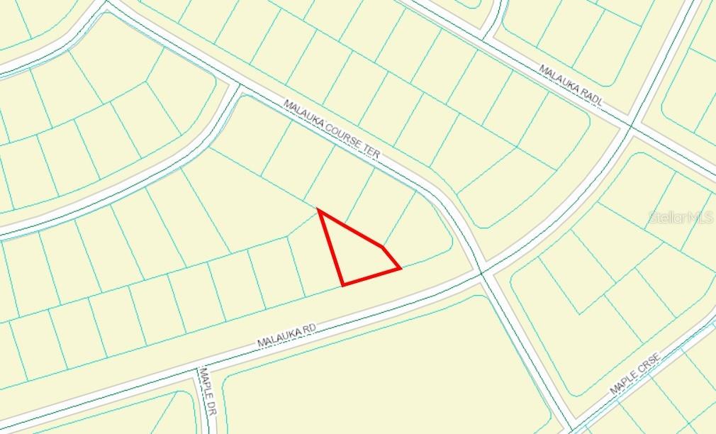 00 MALAUKA RD #40, OCKLAWAHA, FL, 32179