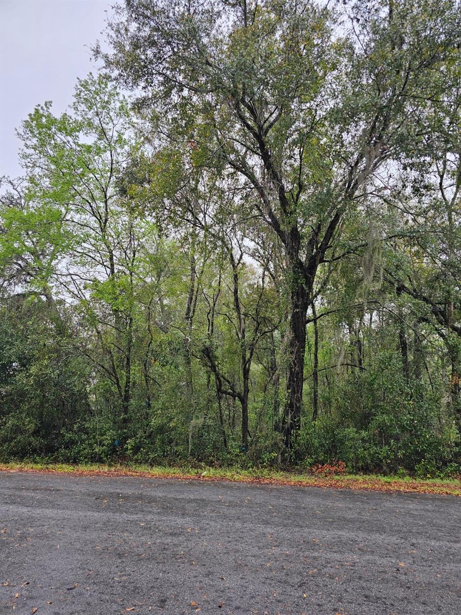 TBD HEMLOCK CRSE, OCALA, FL, 34472