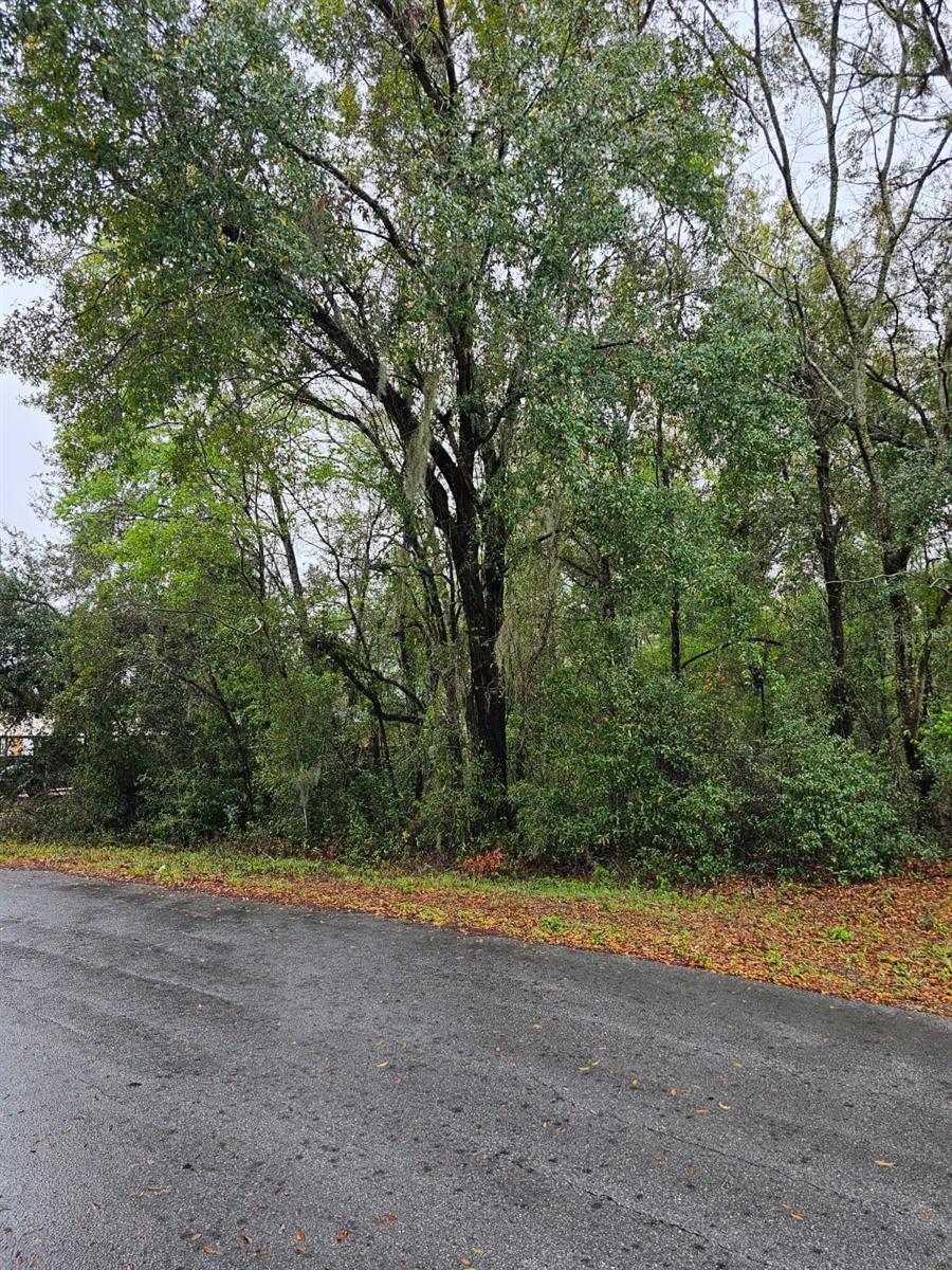 TBD HEMLOCK CRSE, OCALA, FL, 34472