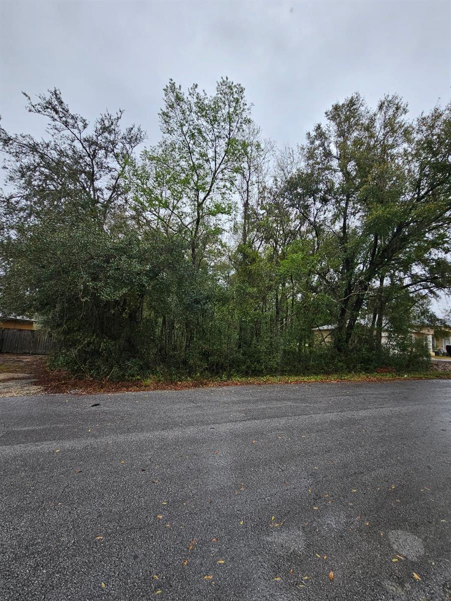 TBD HEMLOCK CRSE, OCALA, FL, 34472