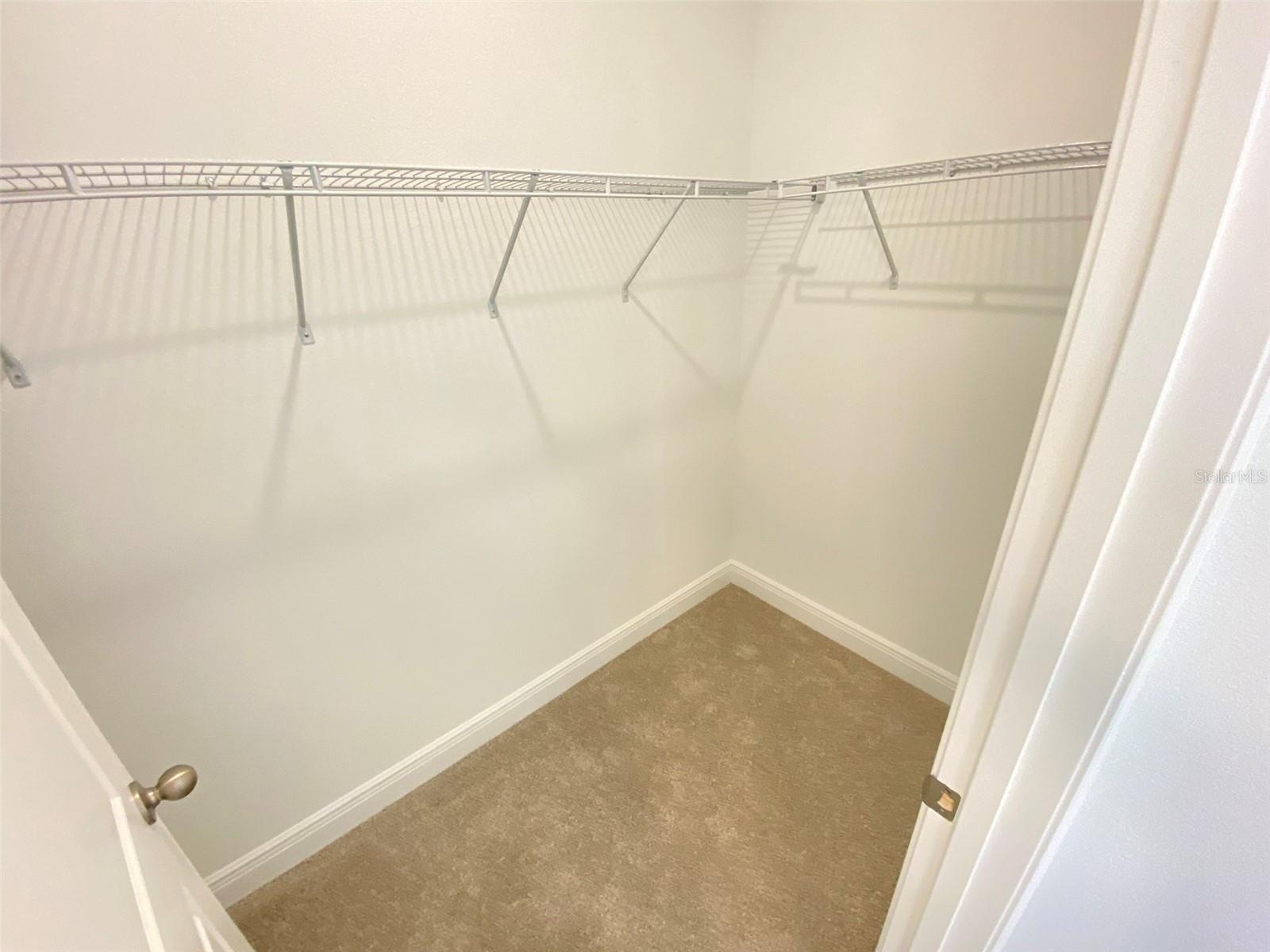 16739 HAMLIN VISTA ALY, WINTER GARDEN, FL, 34787