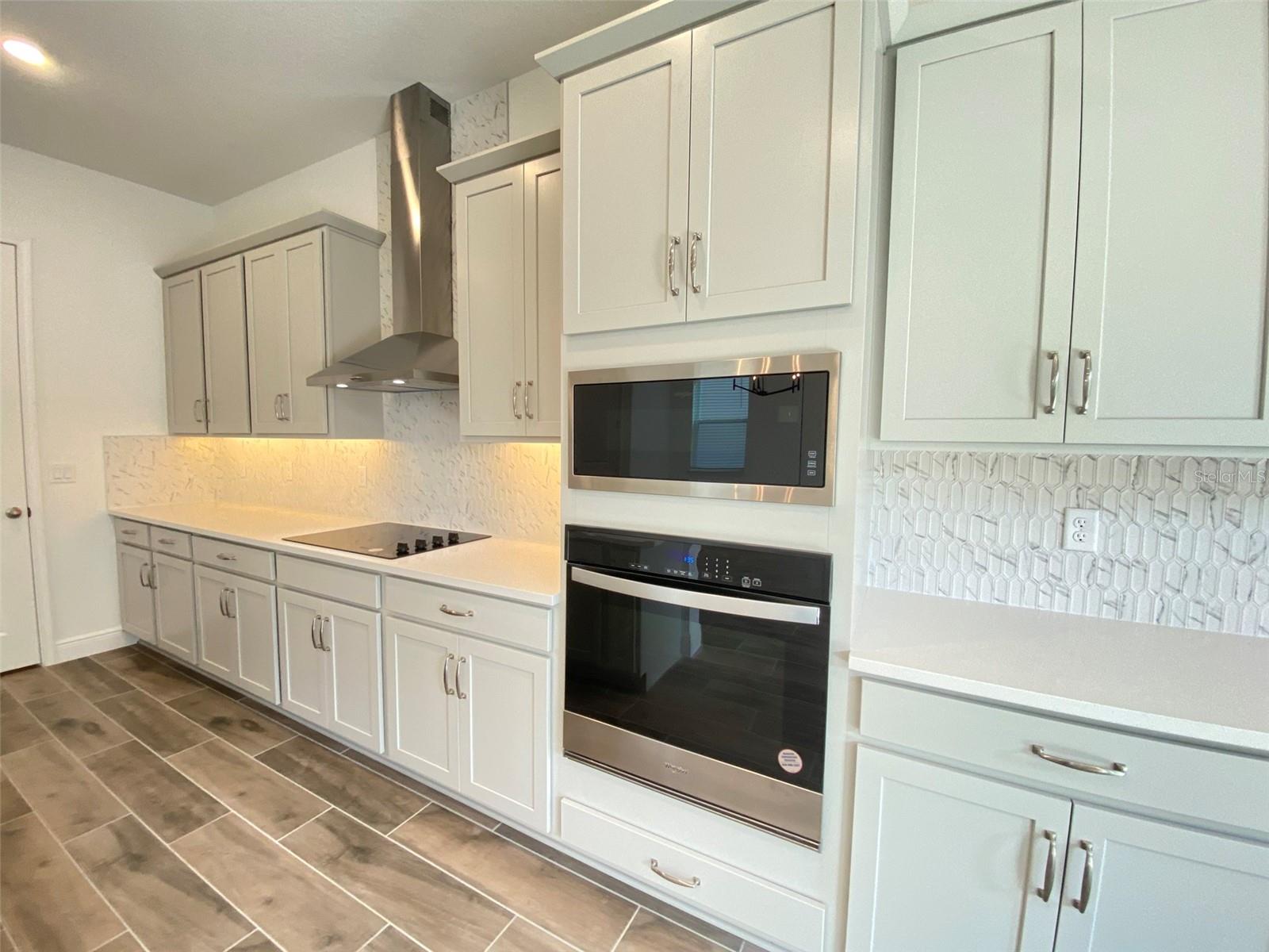 16739 HAMLIN VISTA ALY, WINTER GARDEN, FL, 34787
