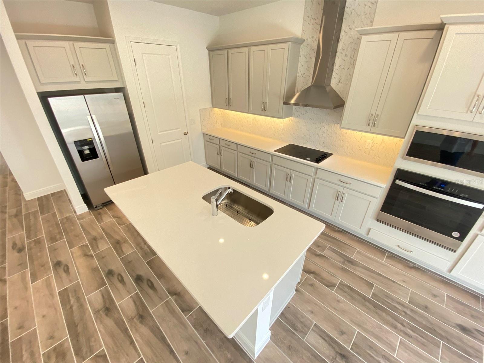 16739 HAMLIN VISTA ALY, WINTER GARDEN, FL, 34787