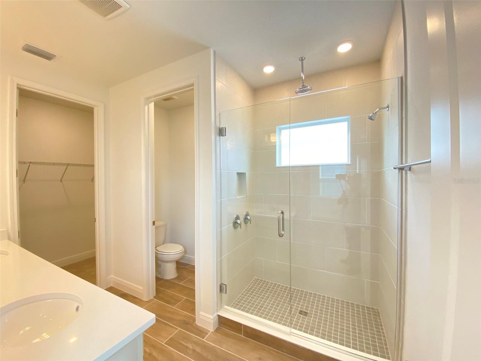 16739 HAMLIN VISTA ALY, WINTER GARDEN, FL, 34787