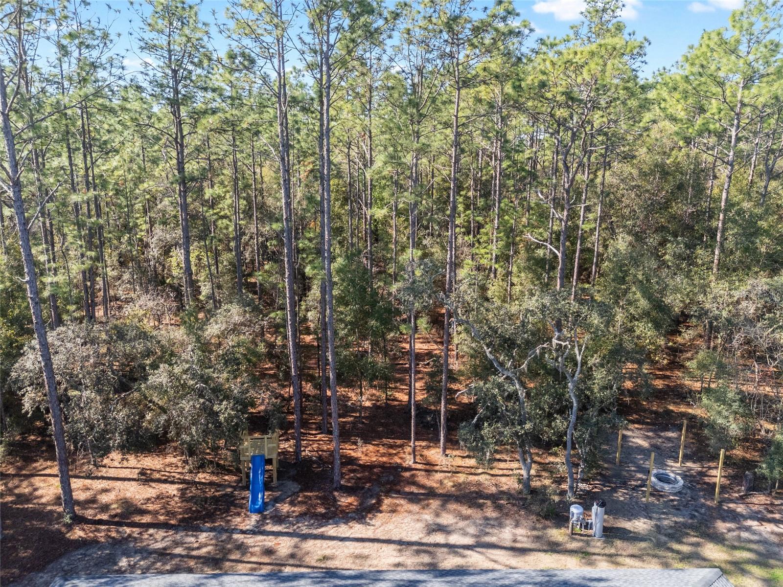 18301 SW 69TH LOOP, DUNNELLON, FL, 34432