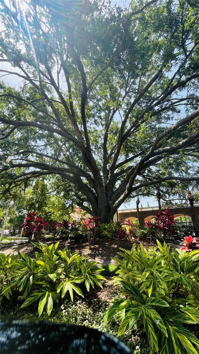 10200 GANDY BLVD N #405, ST PETERSBURG, FL, 33702