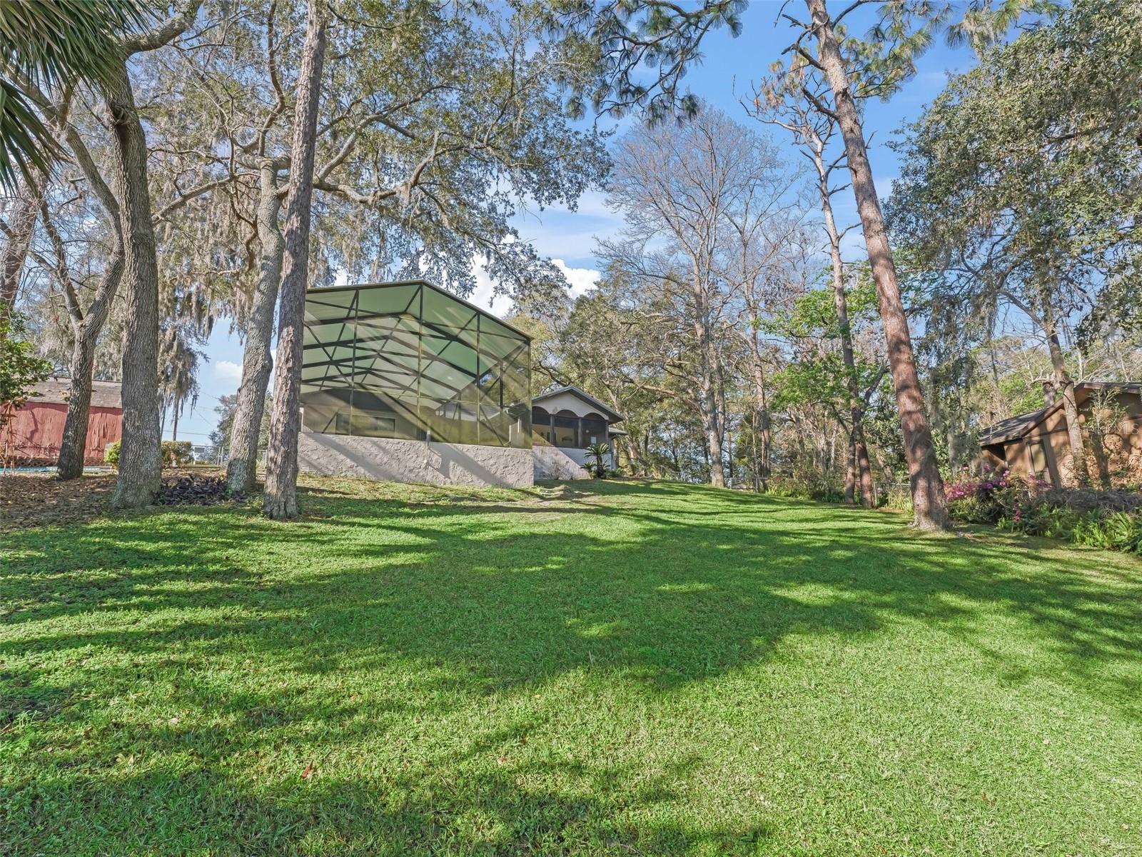 16211 SE 62ND PL, OCKLAWAHA, FL, 32179