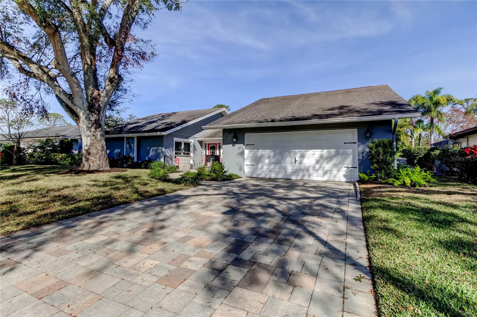 4617 CLOVERLAWN DR, TAMPA, FL, 33624