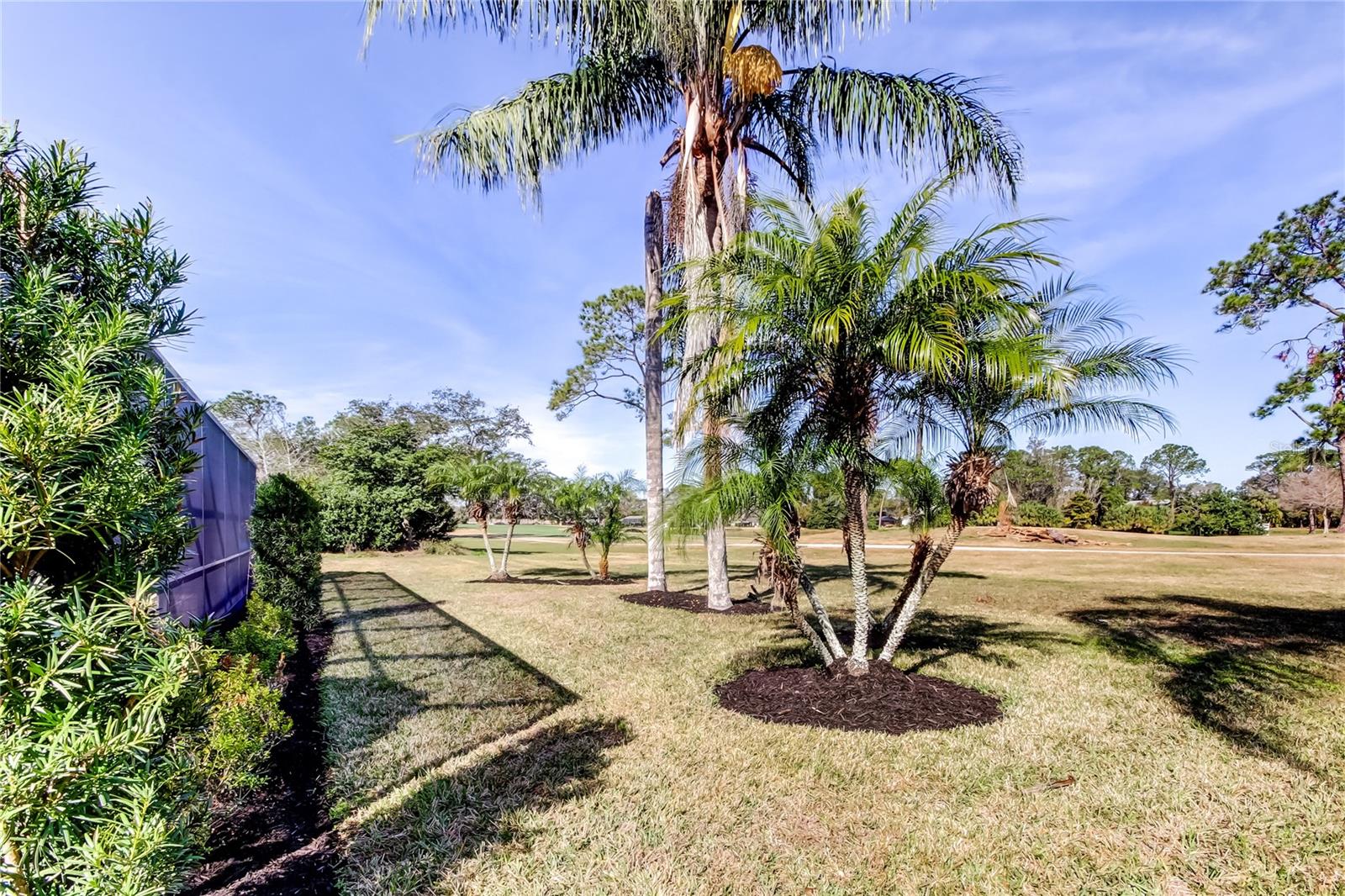 4617 CLOVERLAWN DR, TAMPA, FL, 33624