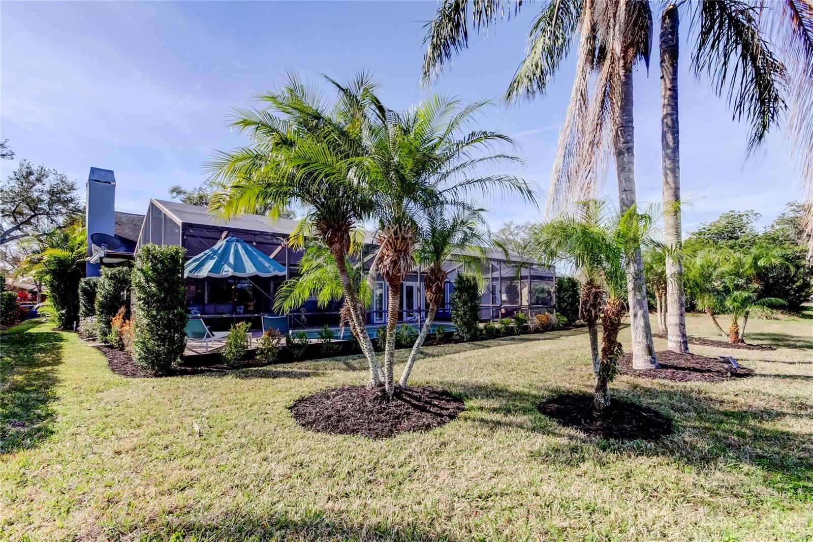 4617 CLOVERLAWN DR, TAMPA, FL, 33624