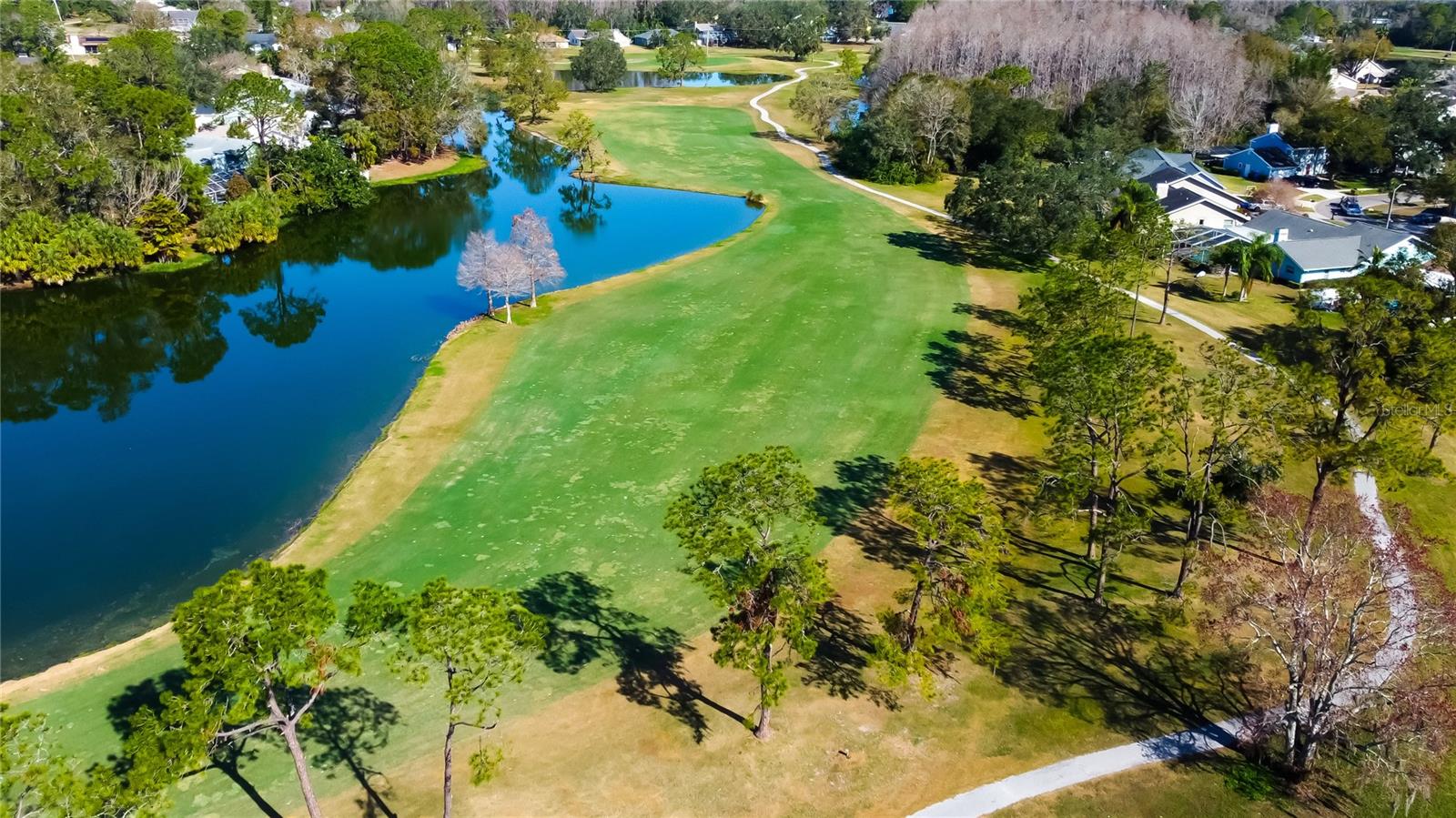 4617 CLOVERLAWN DR, TAMPA, FL, 33624