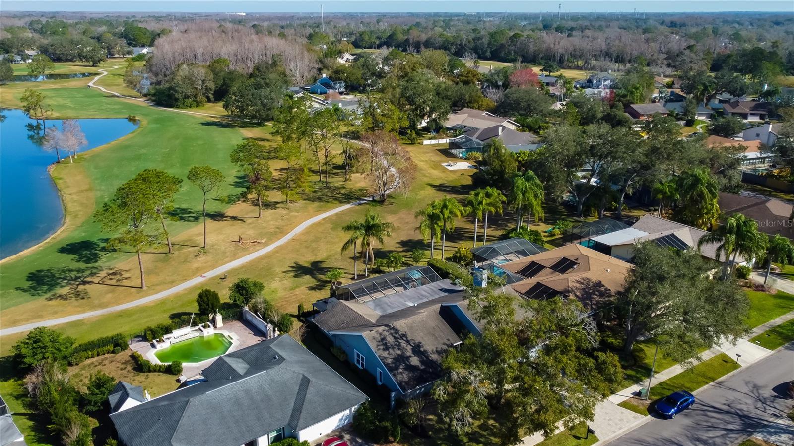4617 CLOVERLAWN DR, TAMPA, FL, 33624