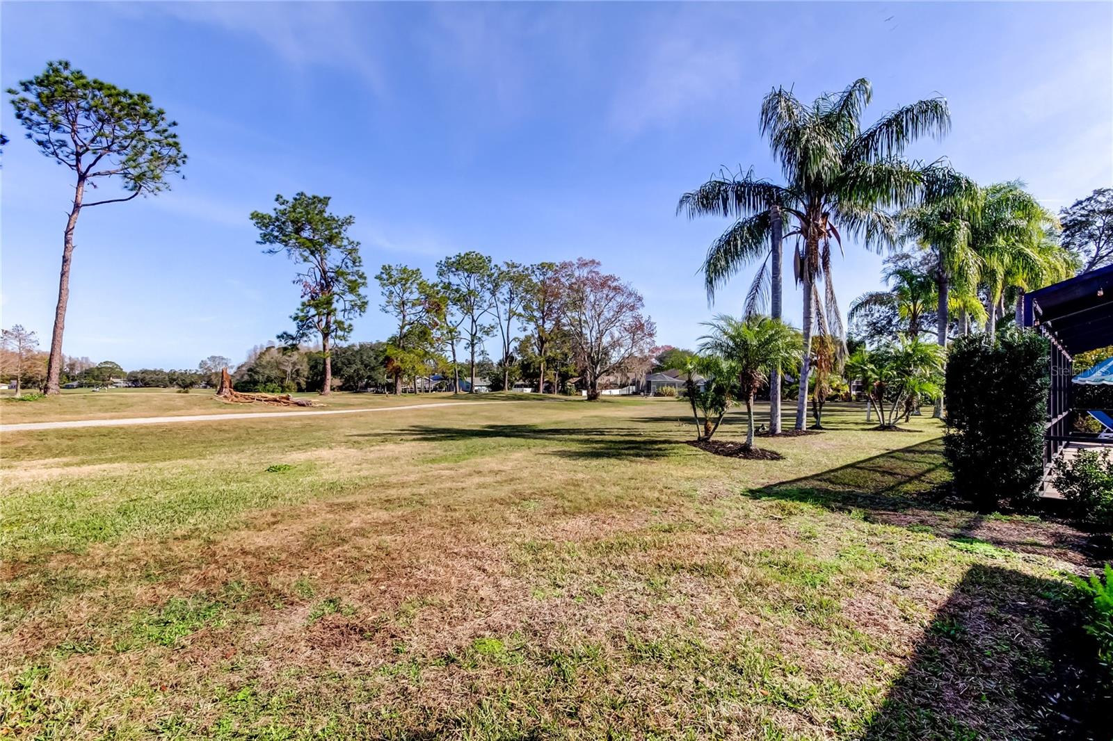 4617 CLOVERLAWN DR, TAMPA, FL, 33624