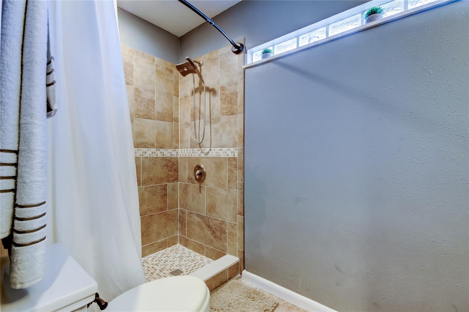 4617 CLOVERLAWN DR, TAMPA, FL, 33624