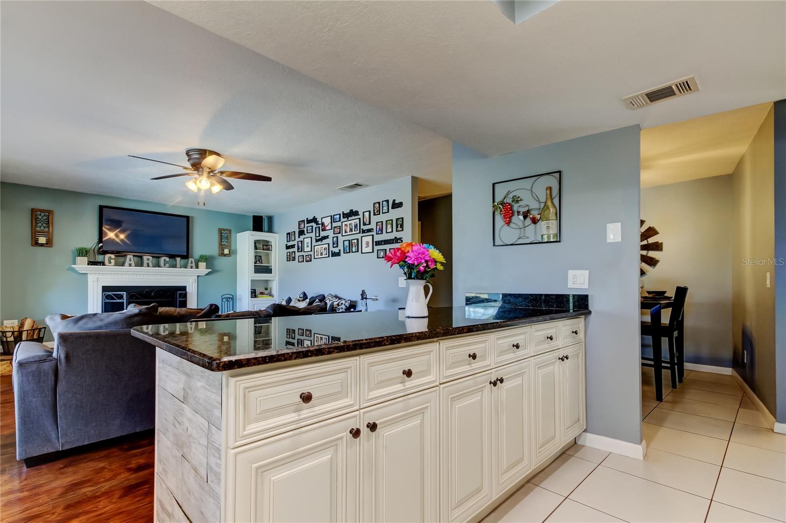 4617 CLOVERLAWN DR, TAMPA, FL, 33624