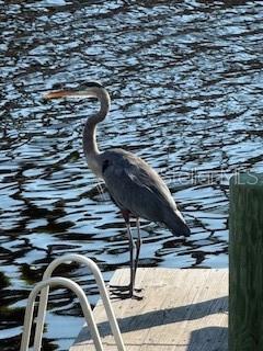 8 CORNING CT, PALM COAST, FL, 32137