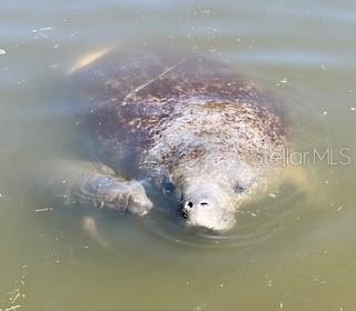 8 CORNING CT, PALM COAST, FL, 32137