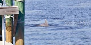 8 CORNING CT, PALM COAST, FL, 32137