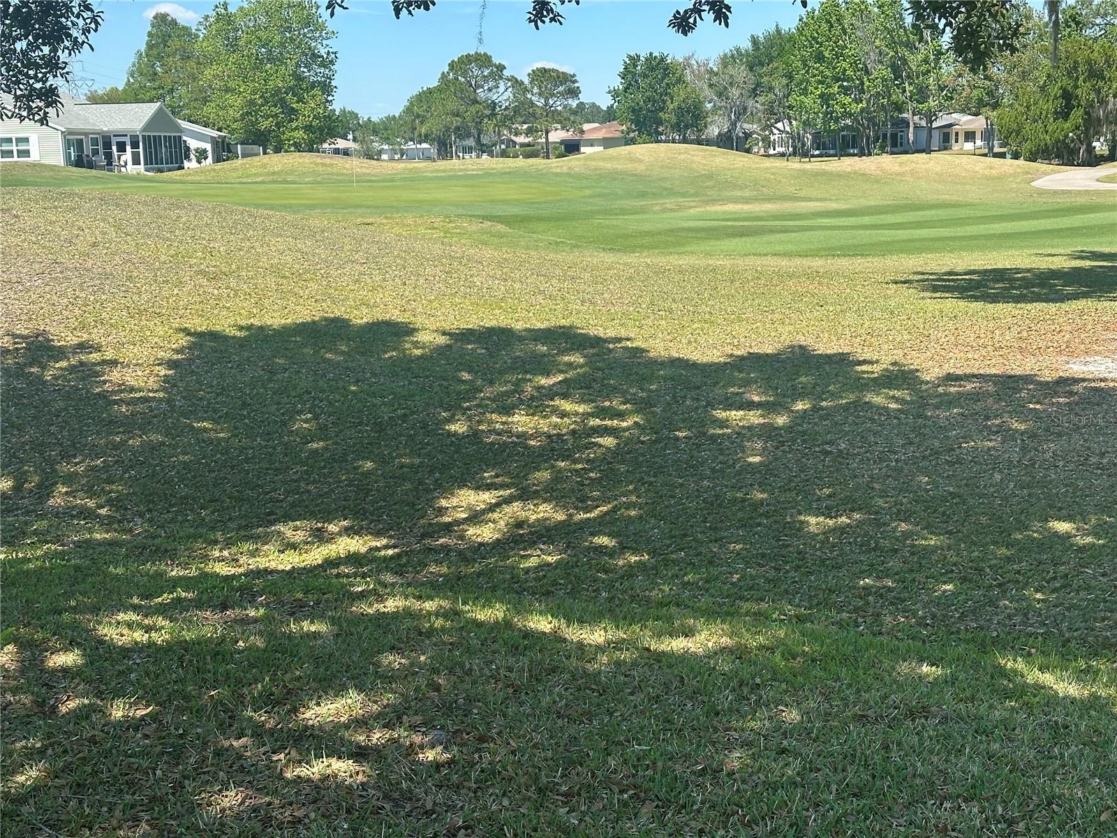 313 WESTWOOD DR, LEESBURG, FL, 34748