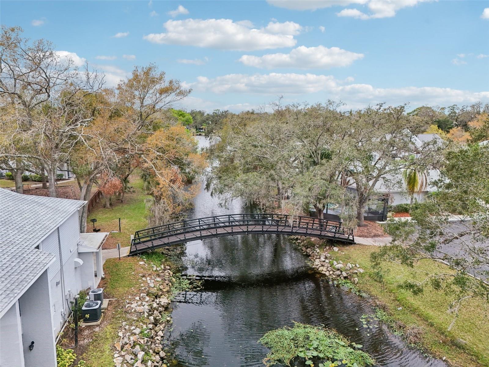 7224 E BANK DR #206, TAMPA, FL, 33617