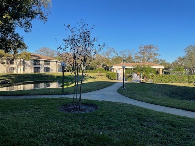 2700 NEBRASKA AVE #3-103, PALM HARBOR, FL, 34684