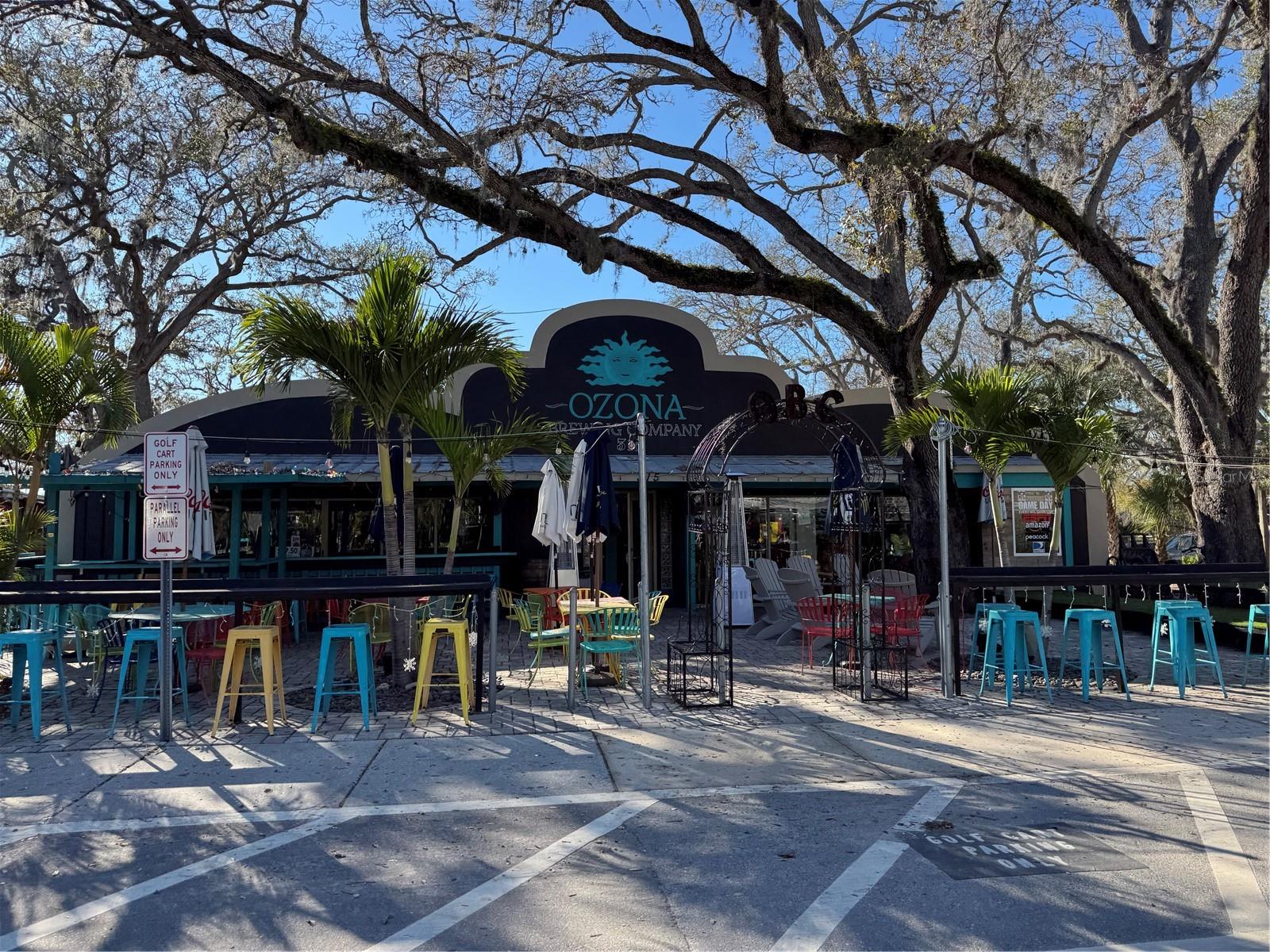 428 LEMON ST, PALM HARBOR, FL, 34683