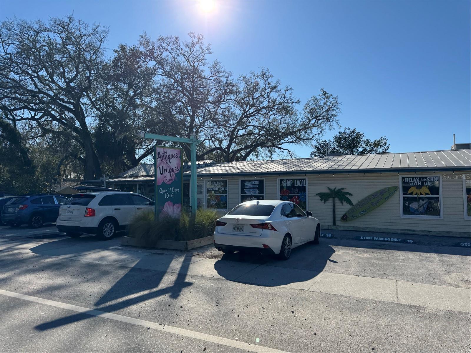 428 LEMON ST, PALM HARBOR, FL, 34683