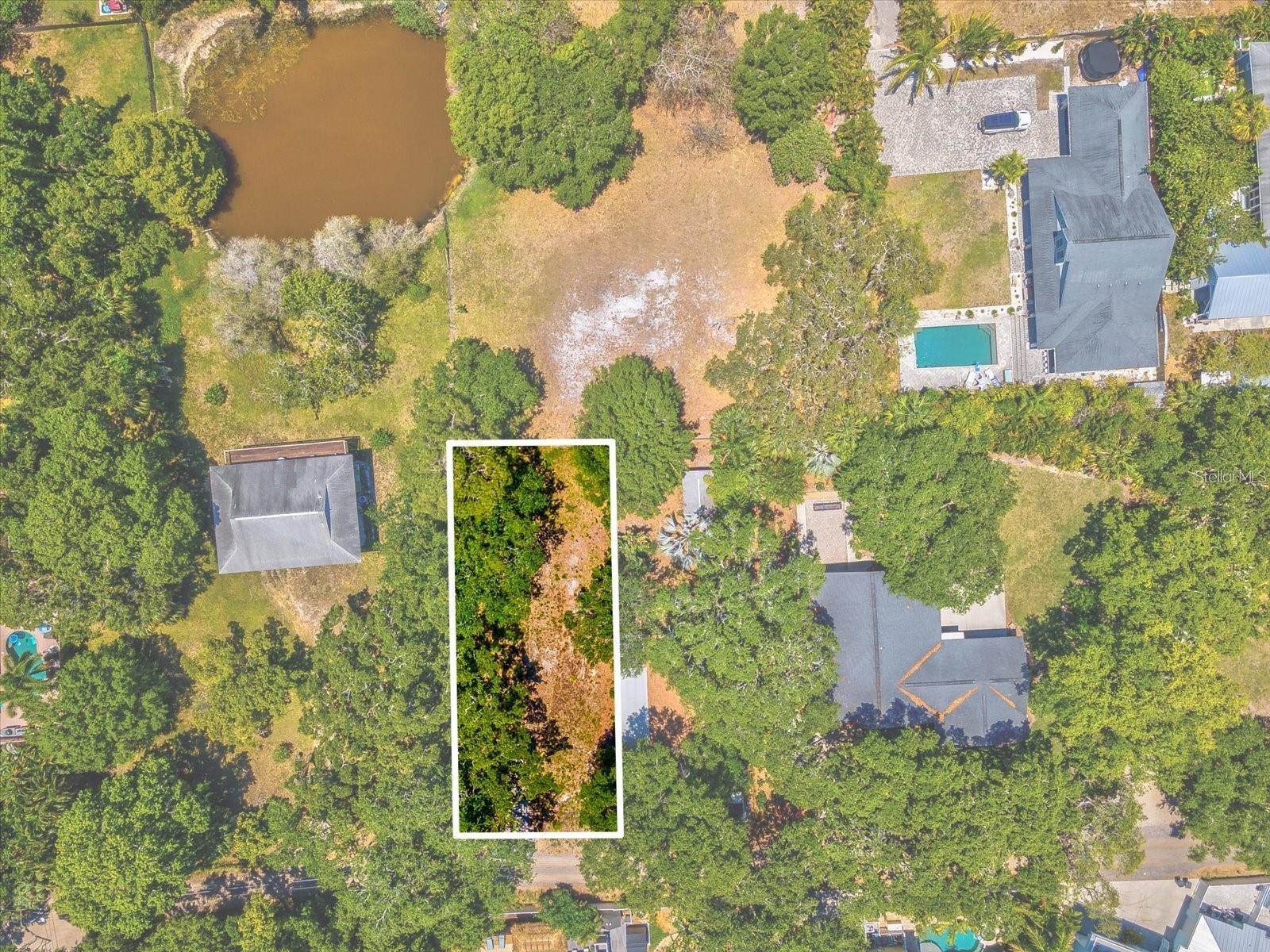 428 LEMON ST, PALM HARBOR, FL, 34683