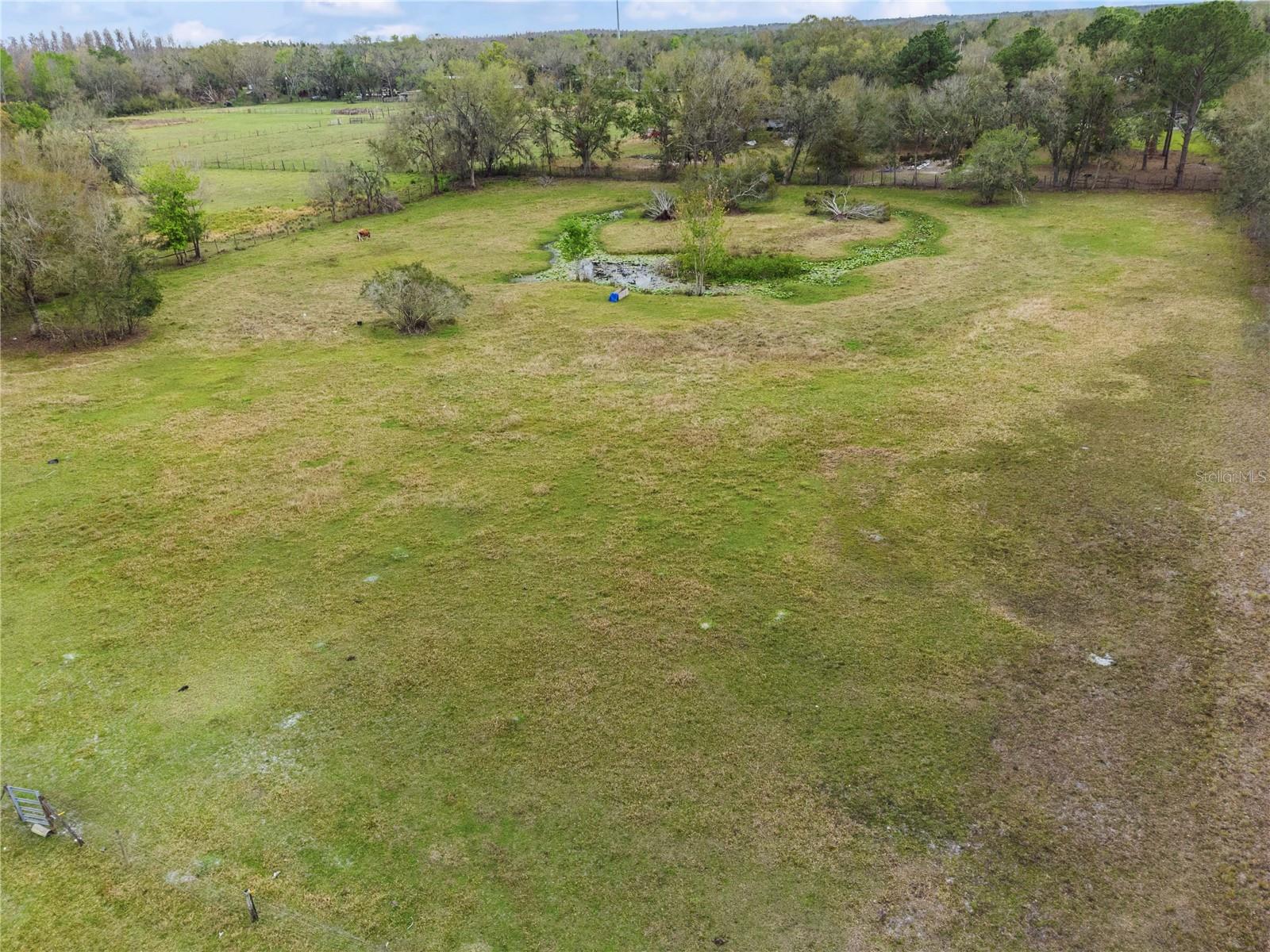 33518 MANDRAKE RD, ZEPHYRHILLS, FL, 33543
