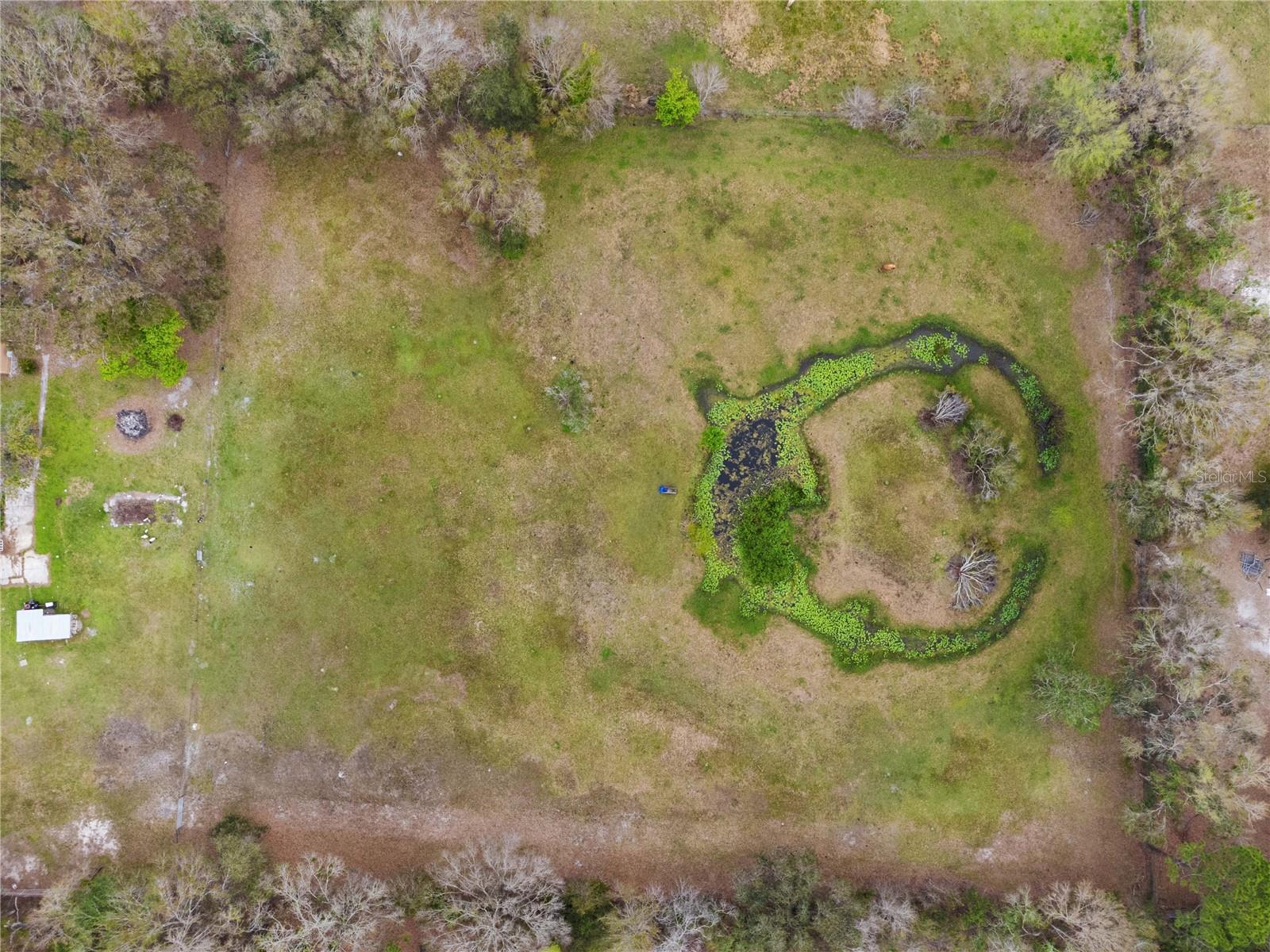 33518 MANDRAKE RD, ZEPHYRHILLS, FL, 33543