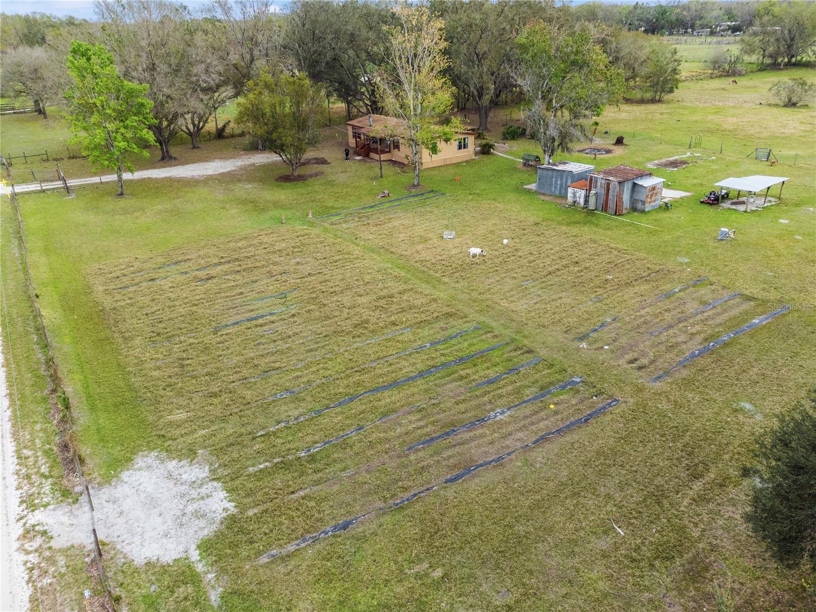 33518 MANDRAKE RD, ZEPHYRHILLS, FL, 33543