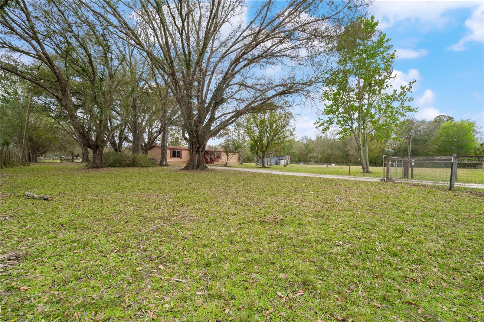 33518 MANDRAKE RD, ZEPHYRHILLS, FL, 33543