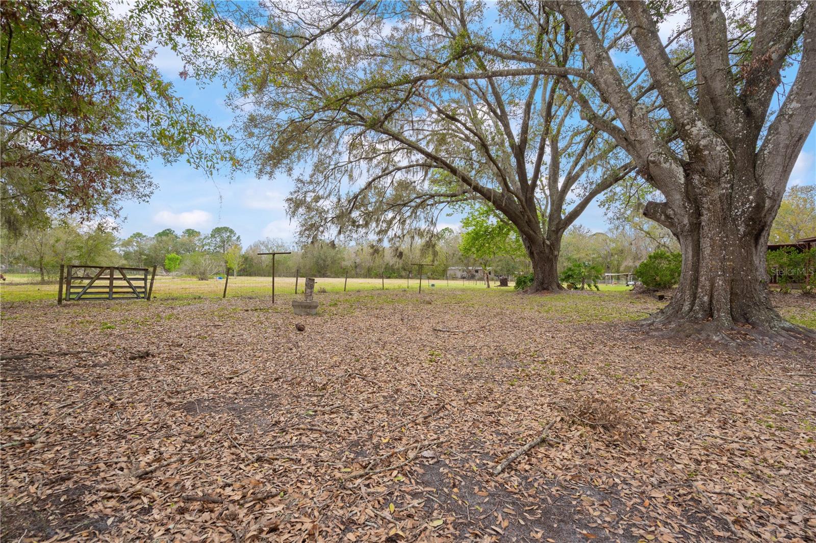 33518 MANDRAKE RD, ZEPHYRHILLS, FL, 33543
