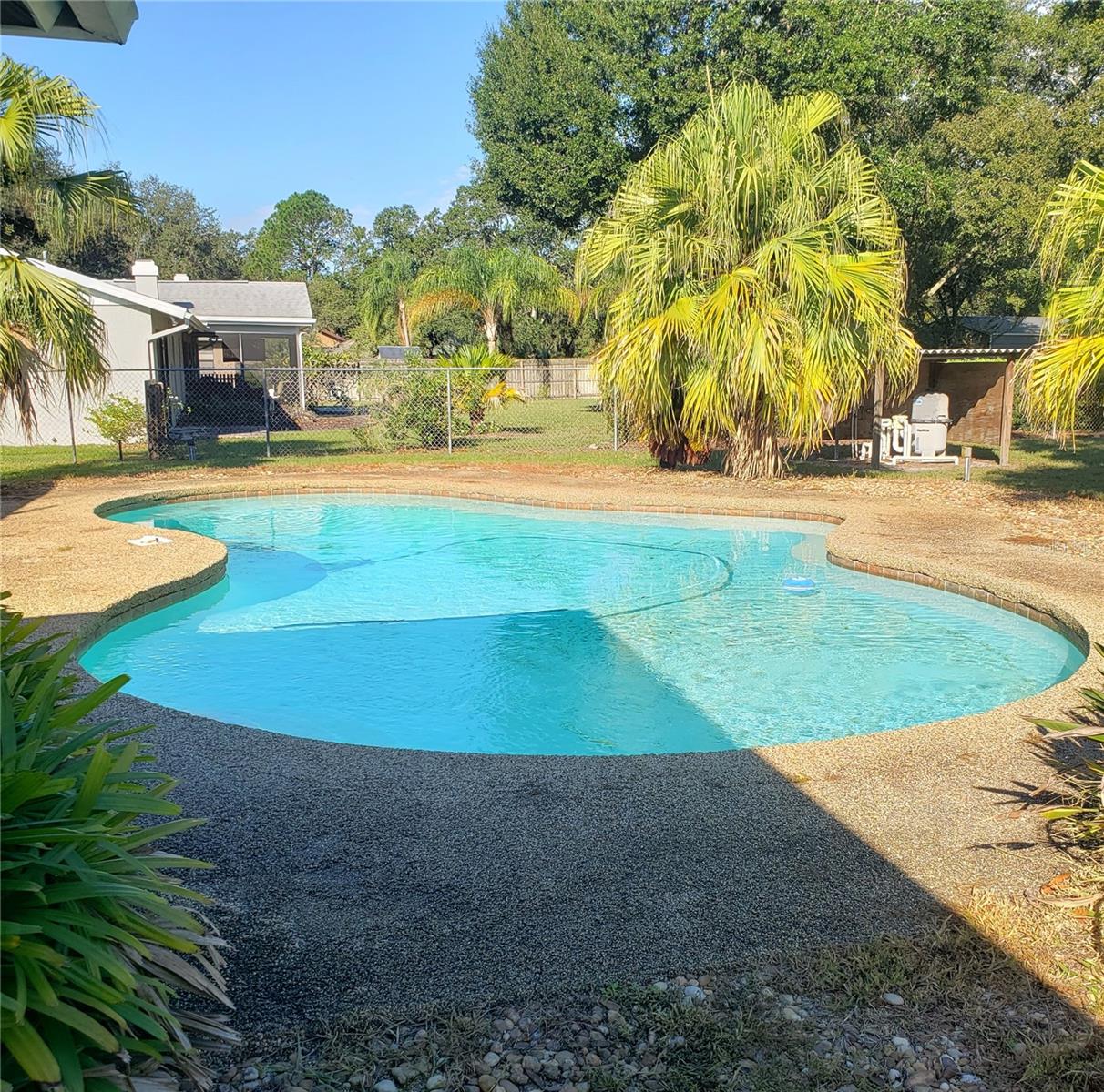 503 CHANCELLAR DR, LUTZ, FL, 33548