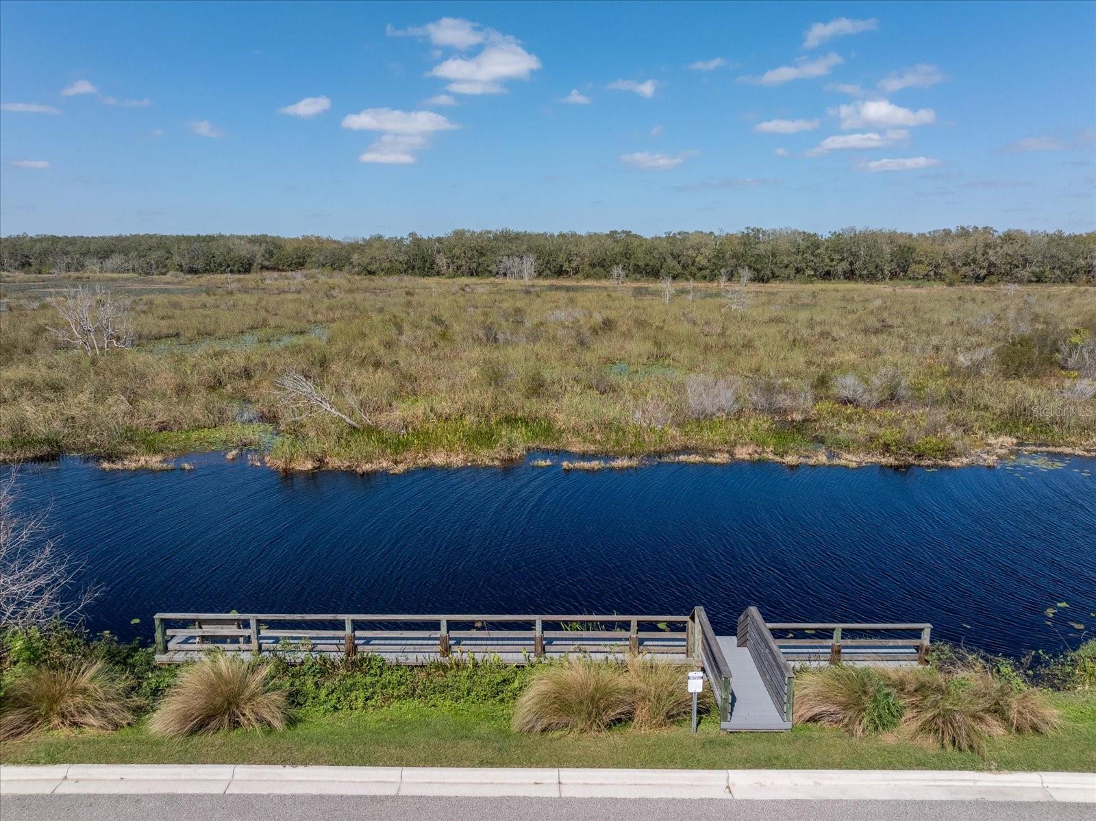 303 WHITE WATER BAY DR, GROVELAND, FL, 34736