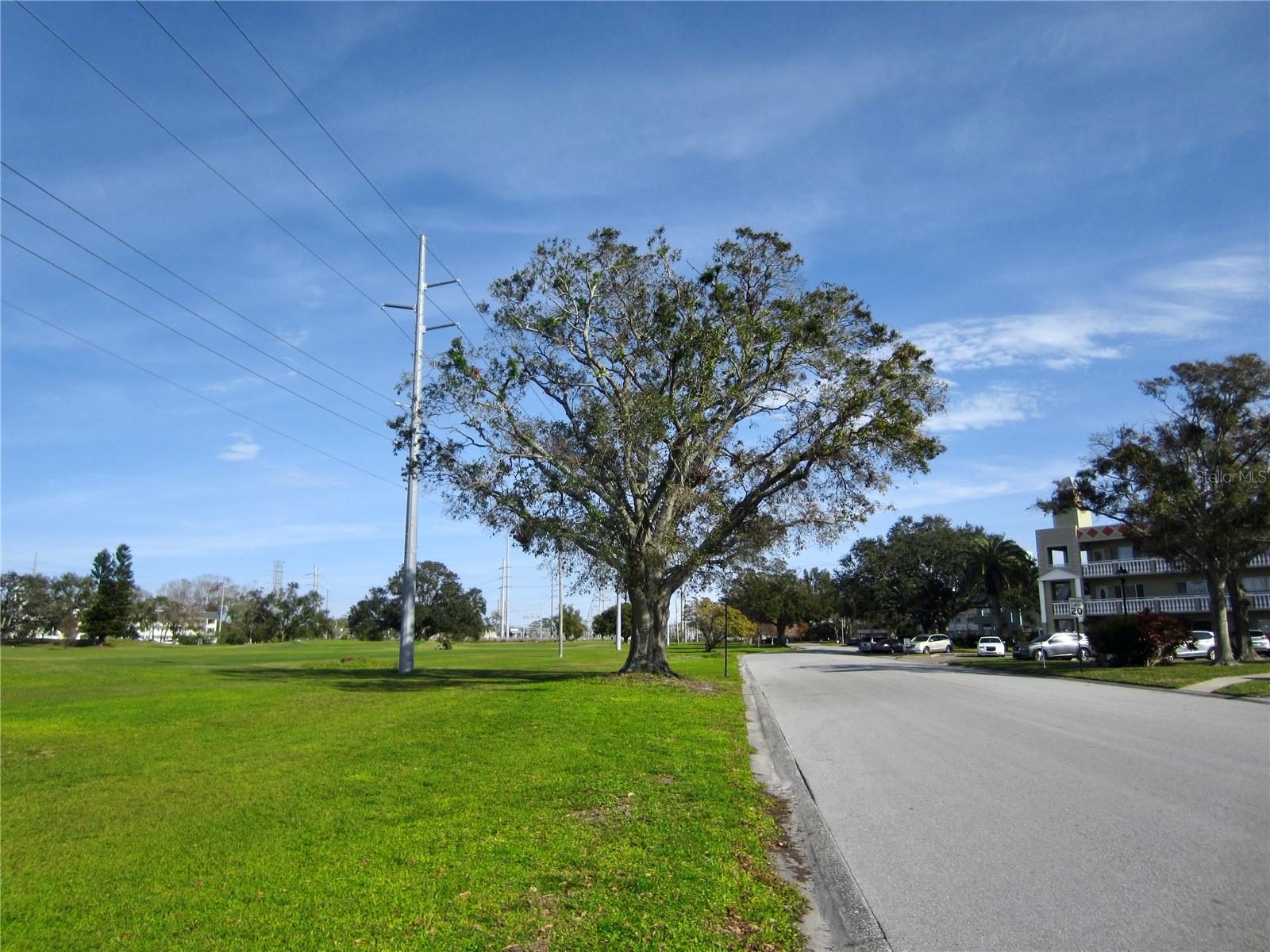 2340 GRECIAN WAY #14, CLEARWATER, FL, 33763